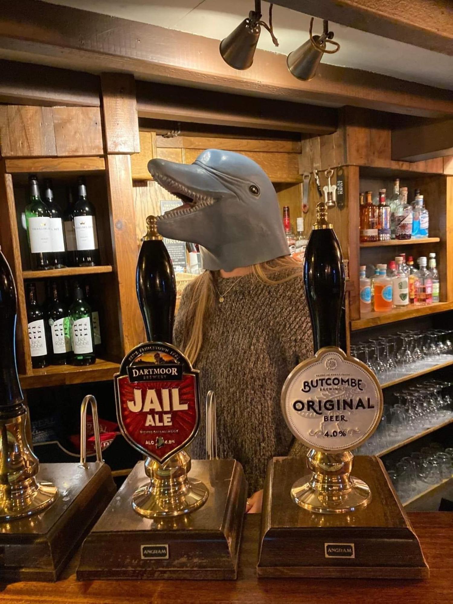 The Dolphin Inn Kingsbridge  Room photo